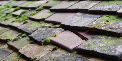 Budna roof repair costs